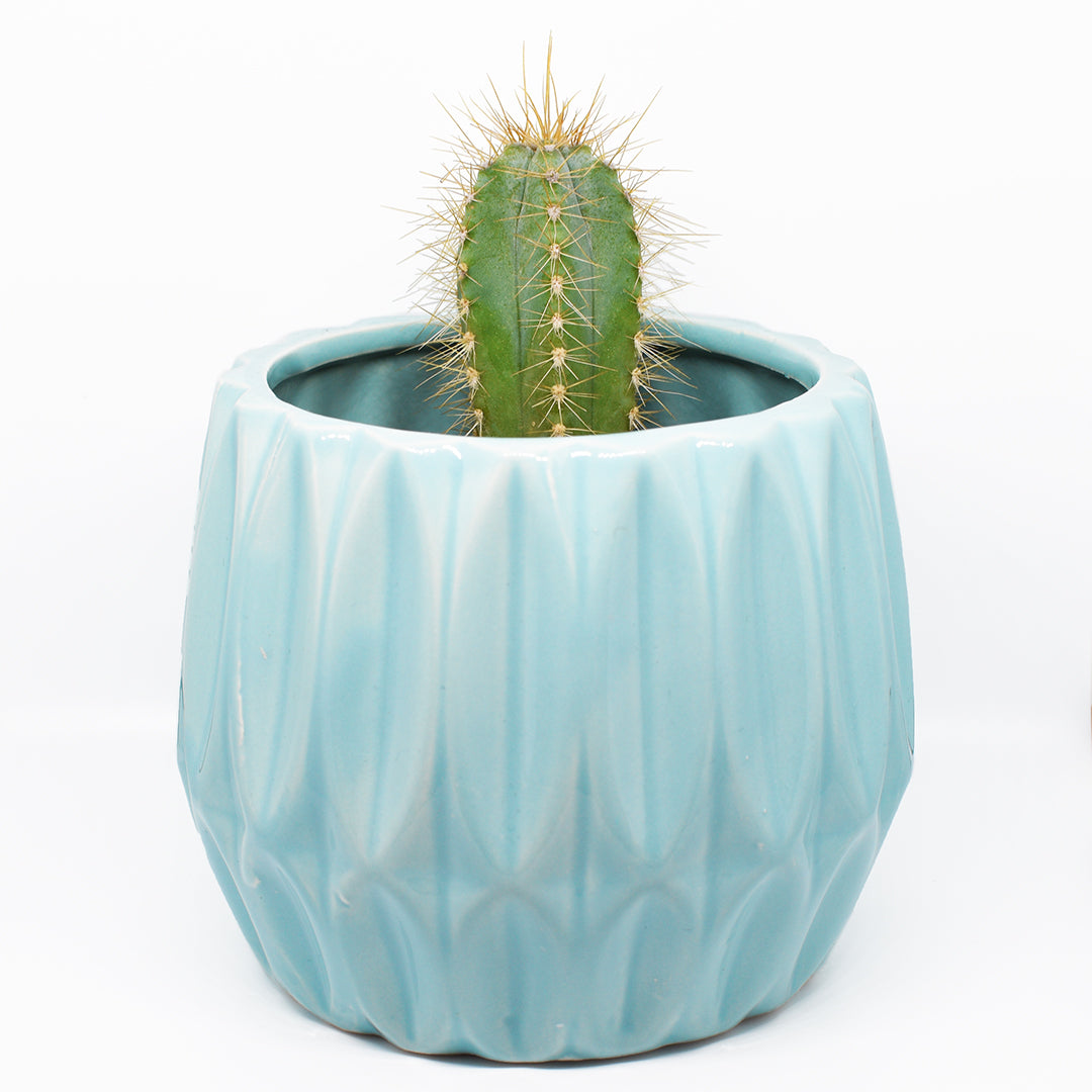 cream plant pot Sweet Garden Gifts Classic Sweet Cream Planter