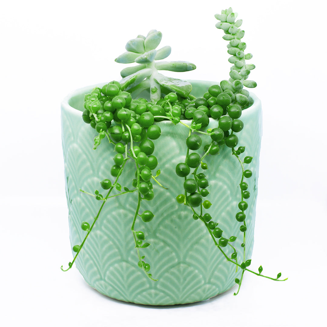 mermaid pot planter Sweet Garden Gifts Mermaid Scale Planter