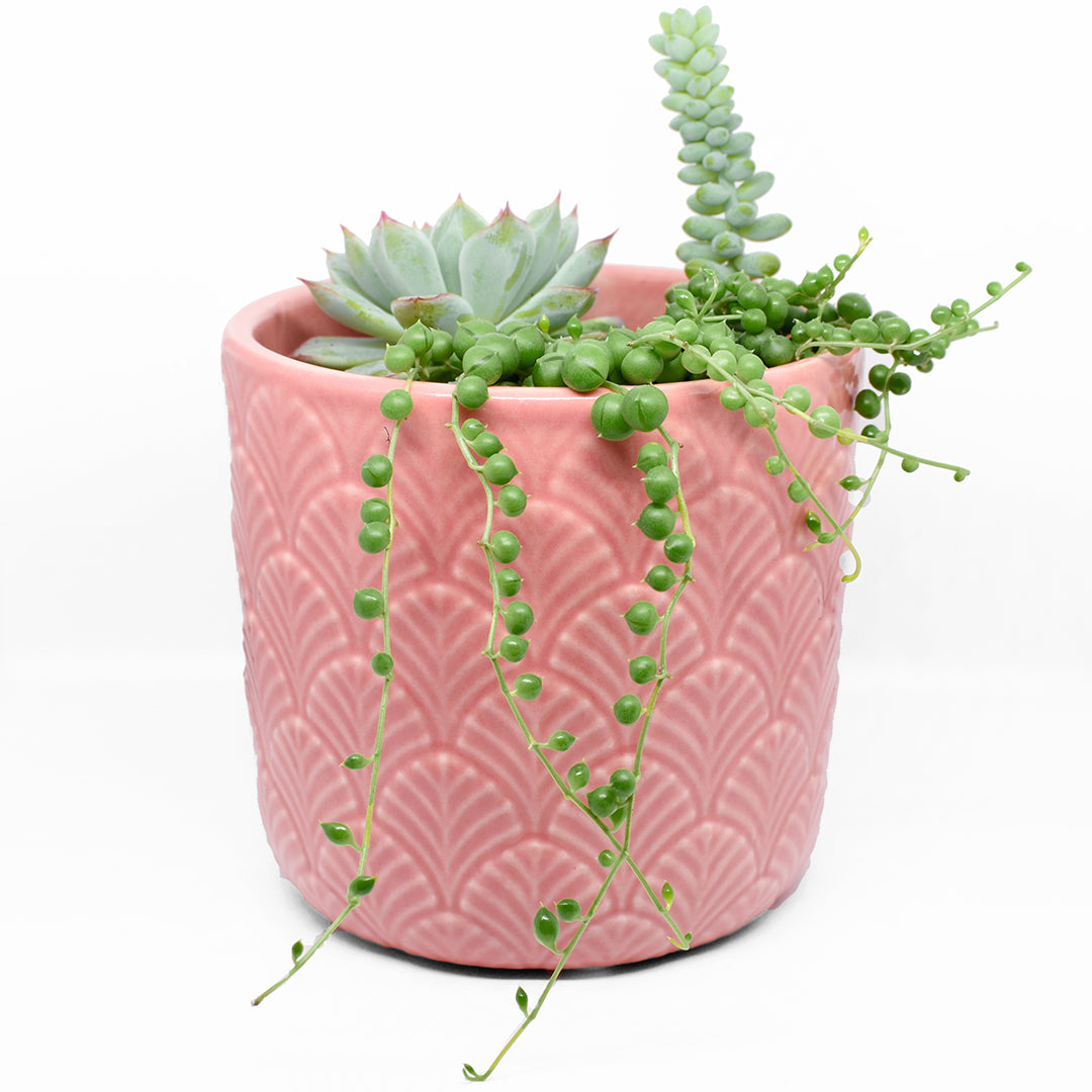 mermaid pot plant Sweet Garden Gifts Mermaid Scale Planter